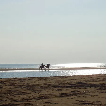 Casa Adami Due *
